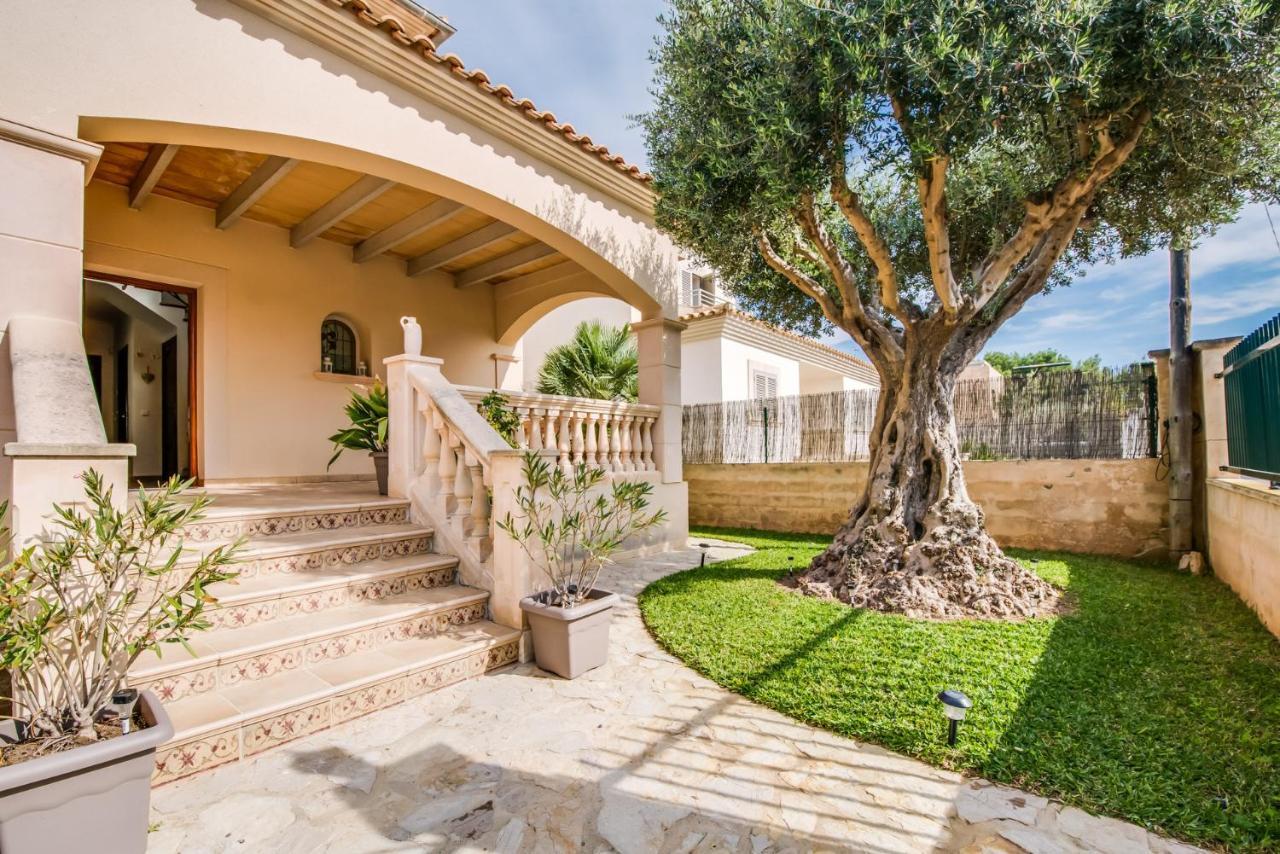 Ideal Property Mallorca - Didi Alcúdia Buitenkant foto